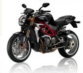 2008 MV Agusta Brutale Gladio photo